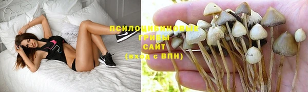 гашишное масло Богородицк