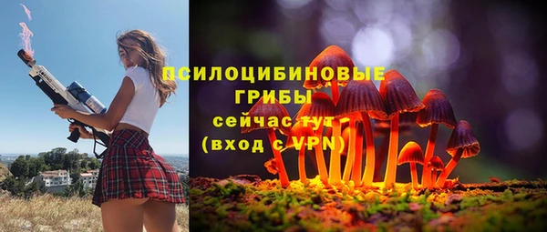 PSILOCYBIN Белоозёрский