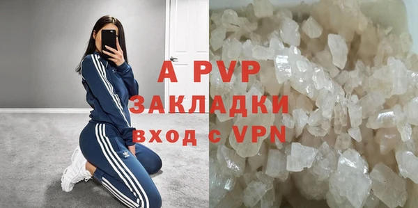 PSILOCYBIN Белоозёрский
