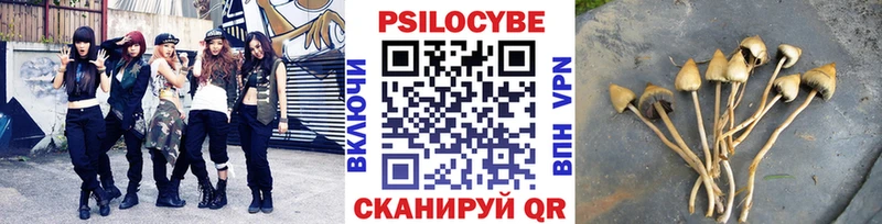 Галлюциногенные грибы Psilocybine cubensis  darknet телеграм  Боровичи  хочу наркоту 
